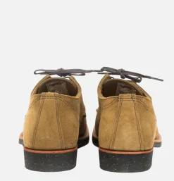 8043 - Merchant Oxford