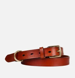 Ceinture 3404 Brown